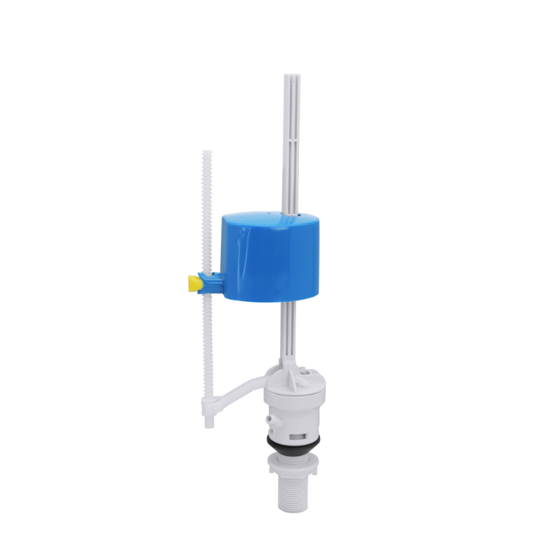 Introduzione T1202